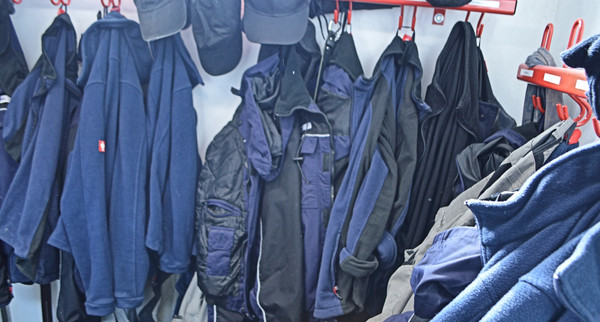 Afrikanische Schweinepest (ASP)