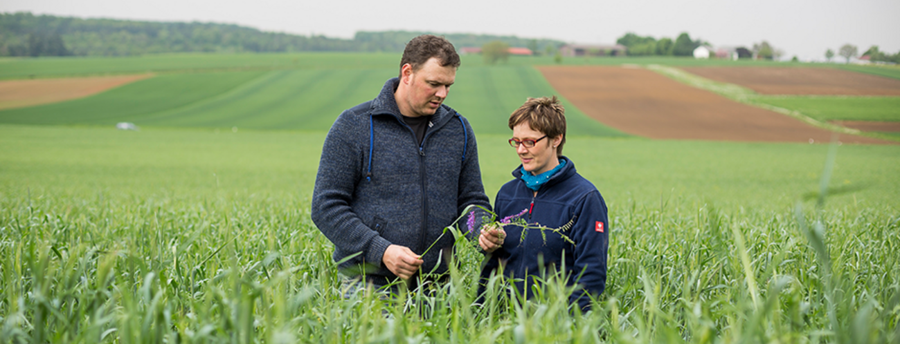 Im Netzwerk "Bauerngarten-u. Wildkräuterland Baden e.V.", haben sich Kräuterpädagogen, Bauerngärtnerinnen und weitere Naturinteressierte zusammengeschlossen