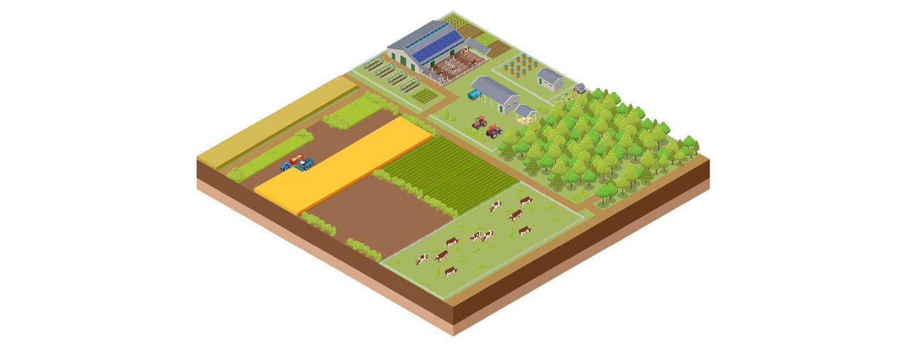 LULUCF Übersicht Landwirtschaft