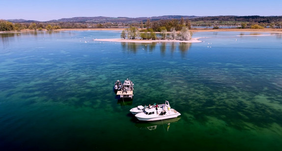 Projekt „Fischartenschutz und Kormoranmanagement am Bodensee“  - Testflug