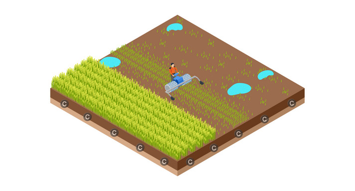 LULUCF-Sektor Moore im LULUCF-Sektor