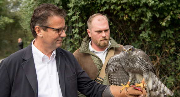Minister Peter Hauk MdL (links) mit Habicht Emma und Stephan Wunderlich. Stephan Wunderlich hatte den Habicht Emma drei Jahre auf das Leben in Freiheit vorbereitet.