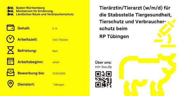 Graphische Darstellung Stellenausschreibung