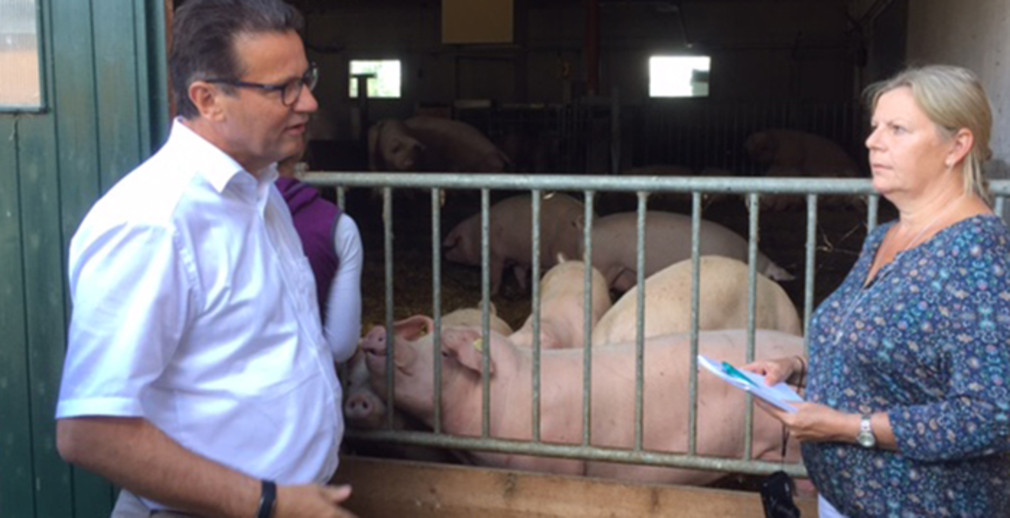 Minister Hauk besucht einen Schweinehalterbetrieb.