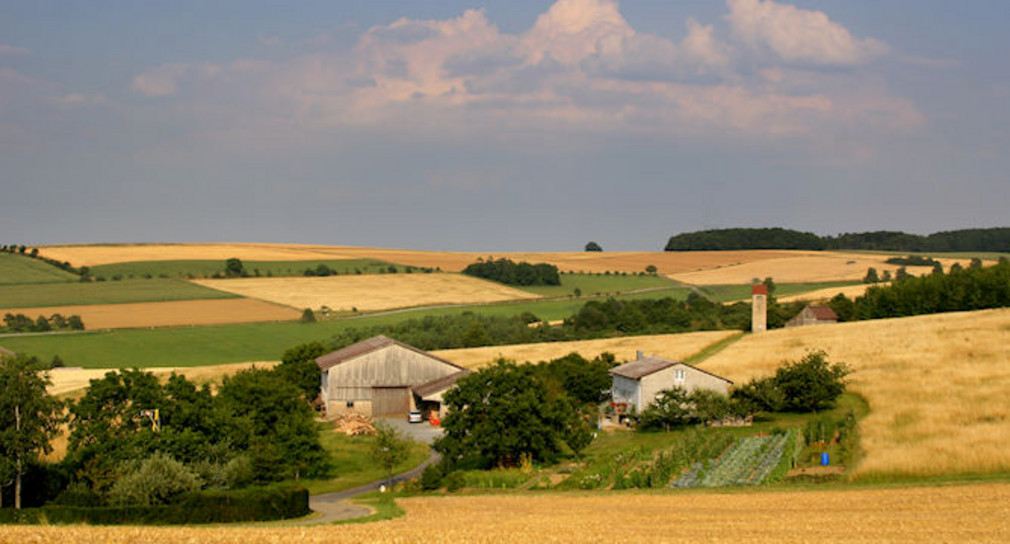 Landwirtschaftlicher Betrieb