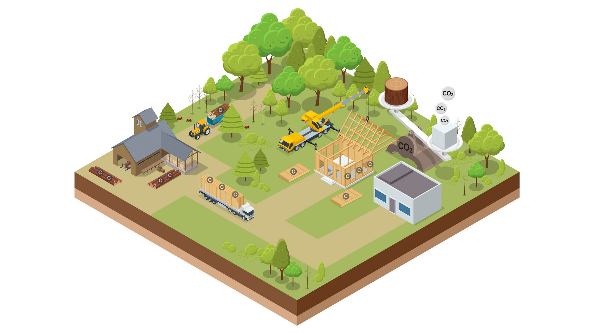 Landwirtschaft und Wald im Klimaschutzsystem: Holzbau