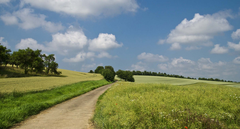 Feldweg