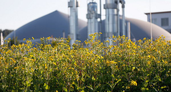 Energiepark Hahnennest GmbH & Co. KG und OutNature GmbH mit der Bewerbung „Von der Pflanze bis zum Papier – Bioökonomie bis zum Ende gedacht“