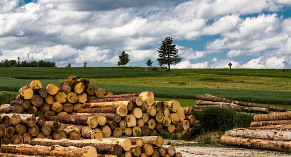 Holzlager