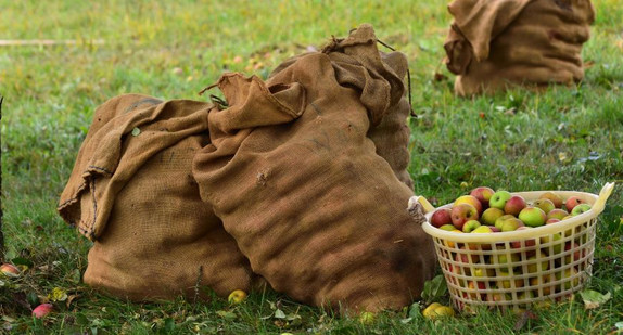 Streuobsttag