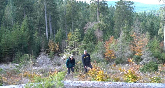 Kahlflächen und lichte Wälder!? Chance für viele Arten!