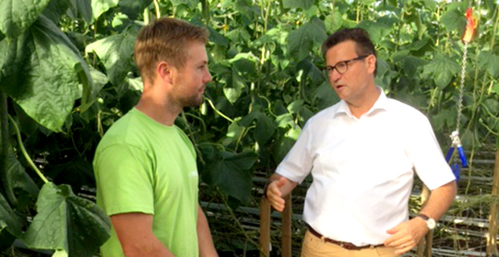 Hauk im Gespräch mit einem Jungunternehmer, der für Edeka Tomaten und Gurken produziert. 