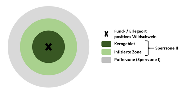 Afrikanische Schweinepest (ASP)