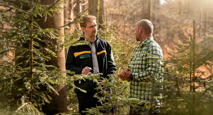 Förster und Waldbesitzer bei Waldbegehung