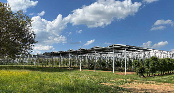 Agri-Photovoltaik