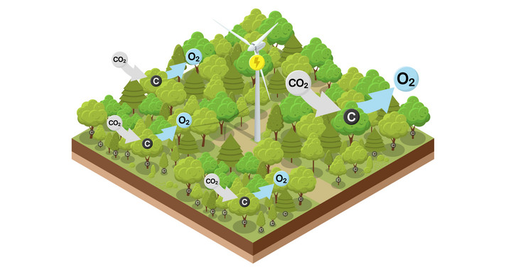 LULUCF-Sektor Windkraft im Wald