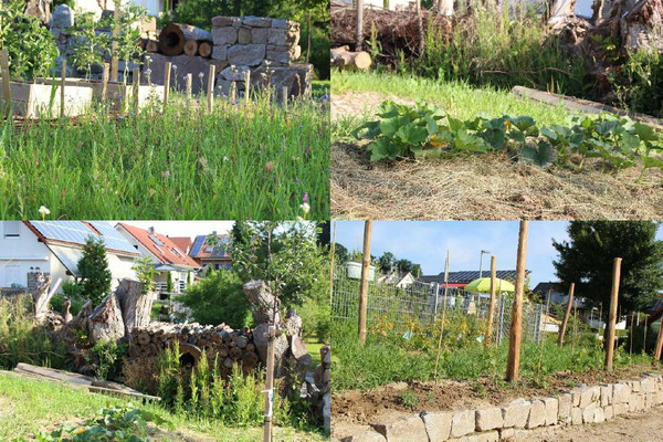 Wettbewerb BW Blüht 2026