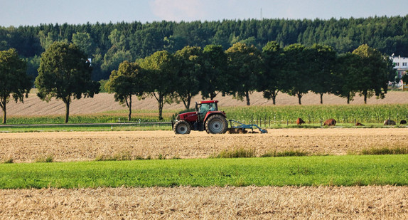 Traktor bei der Arbeit auf dem Feld
