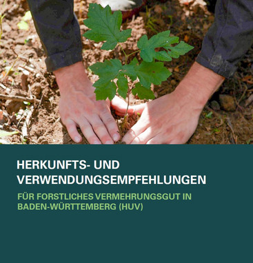 Herkunfts- und Verwendungsempfehlungen forstliches Vermehrungsgut