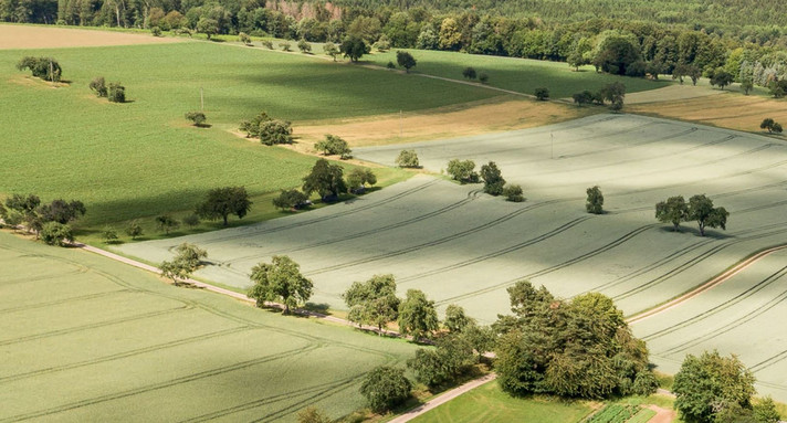 Landwirtschaft