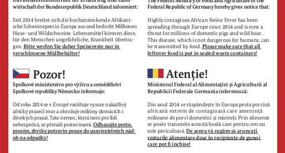 Warnung vor der Schweinepest