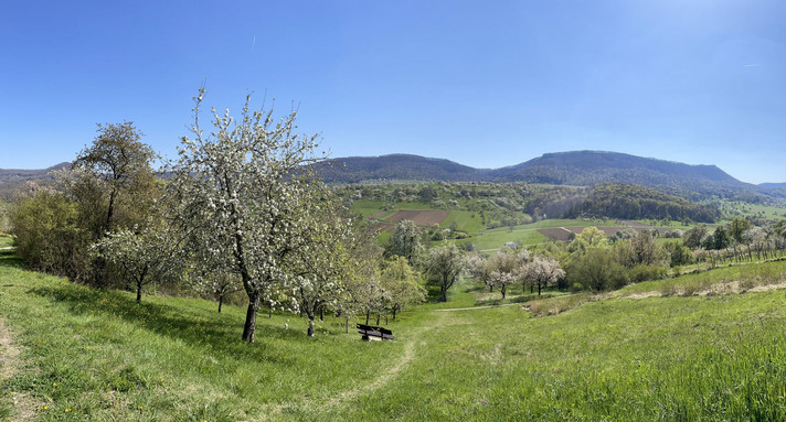 Biodiversitätspfade in Baden-Württemberg