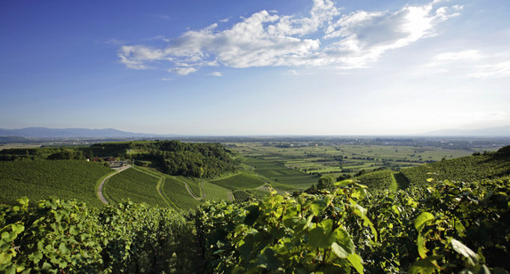 Kaiserstuhl