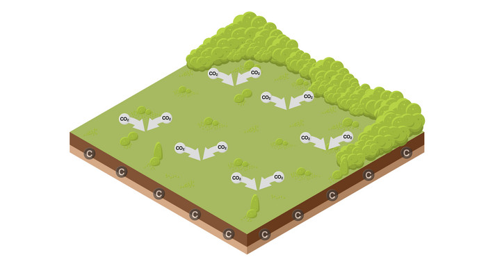 LULUCF Grünland LULUCF Grünland