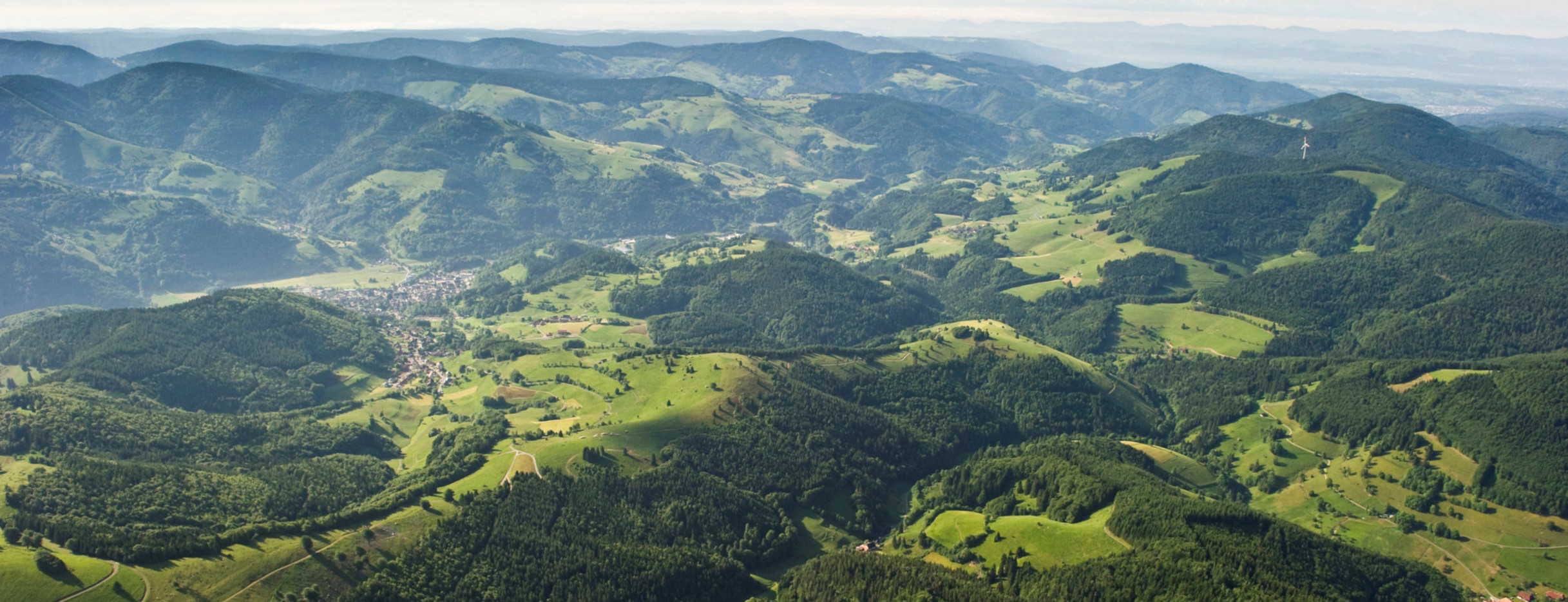 Schwarzwald (Bild: GettyImages)
