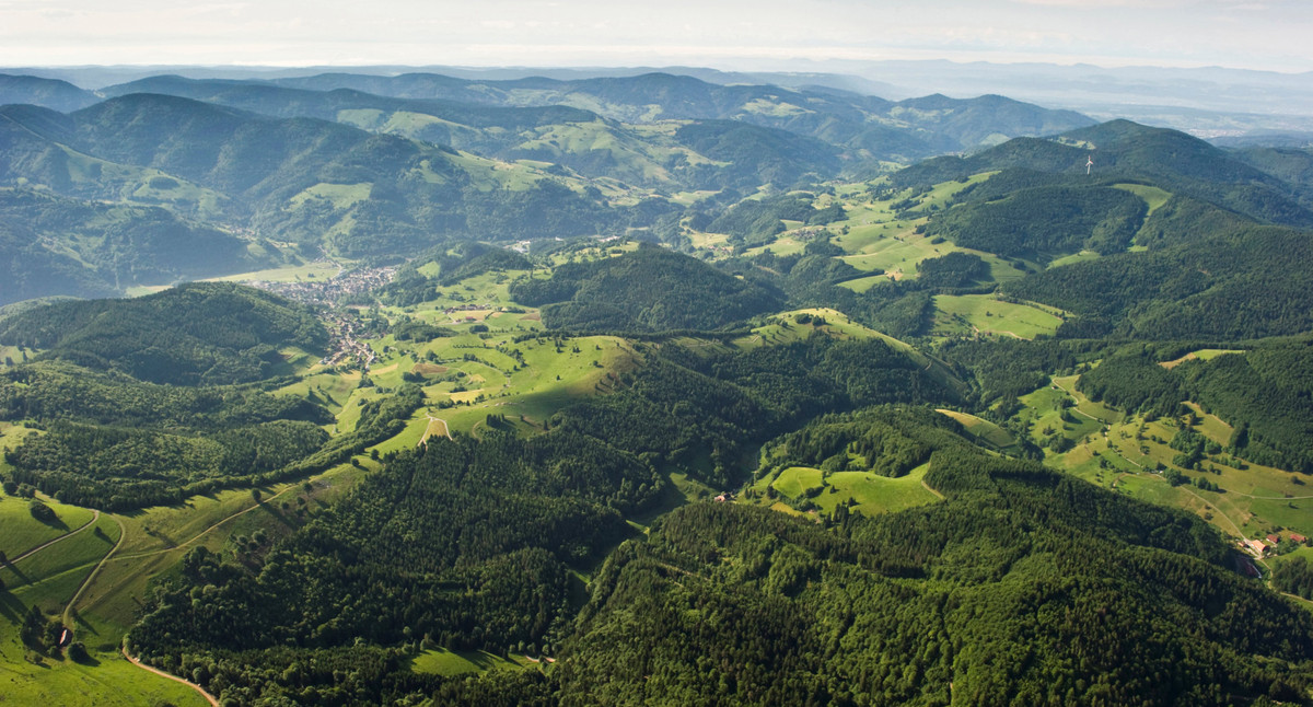Schwarzwald (Bild: GettyImages)