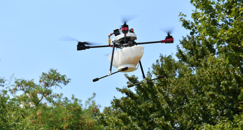 Drohne über dem Weinberg