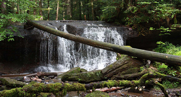 Schwäbisch-Fränkischer Wald