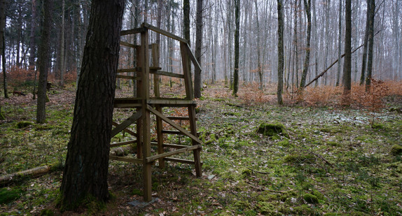 Hochsitz im Wald