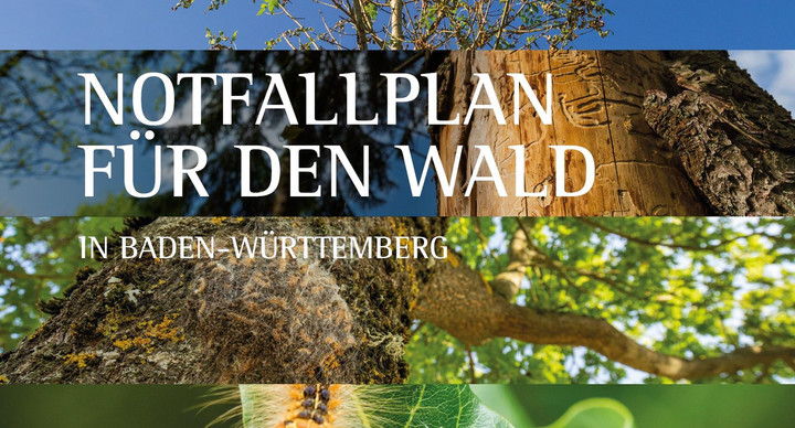 Notfallplan Wald. (Bild: Ministerium f&uuml;r L&auml;ndlichen Raum und Verbraucherschutz)