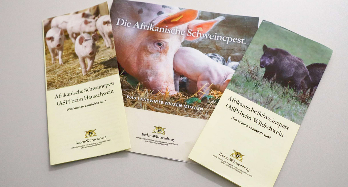 Tierseuchen Informationsmaterial zur ASP