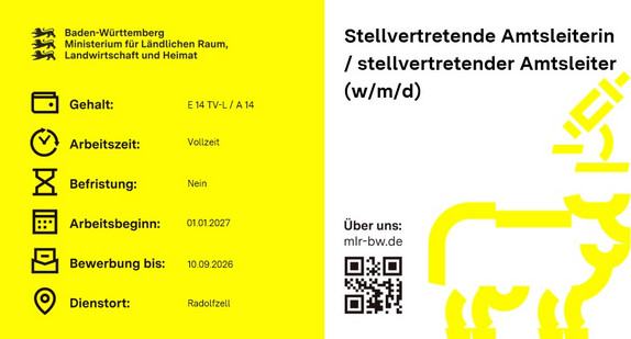 Teaserbild Stellenausschreibung Stellvertretende Amtsleiterin / stellvertretender Amtsleiter (w/m/d)