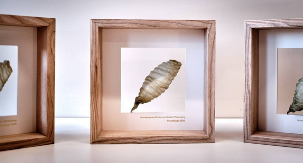 Die Auszeichnung 2020