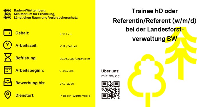 Trainee / Referent (w/m/d) für den höheren Forstdienst