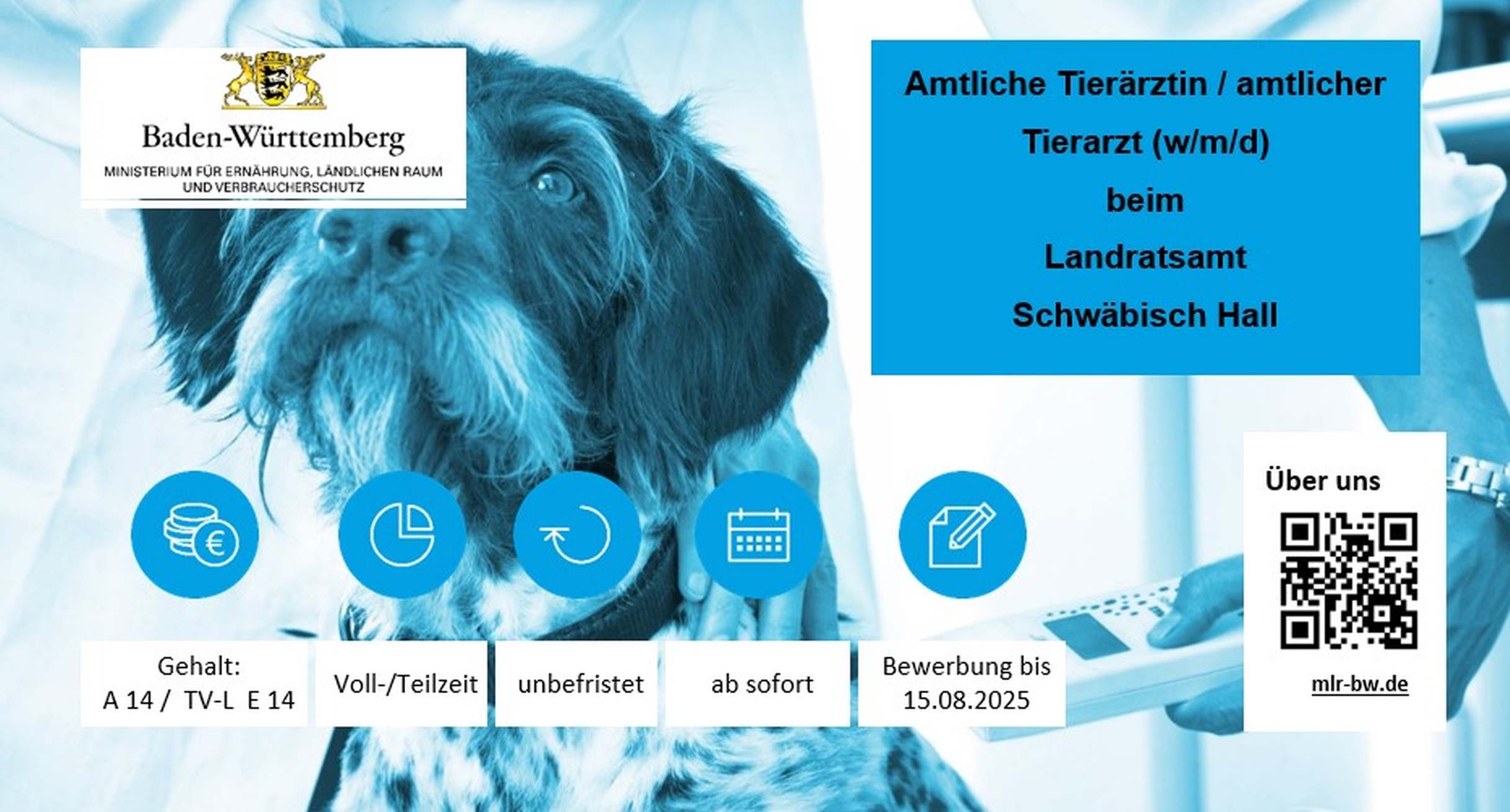  amtliche Tierärztin / amtlicher Tierarzt (w/m/d)
