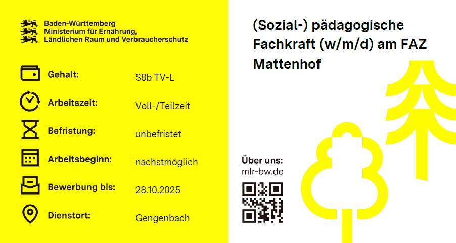  (Sozial-) pädagogische Fachkraft (w/m/d)