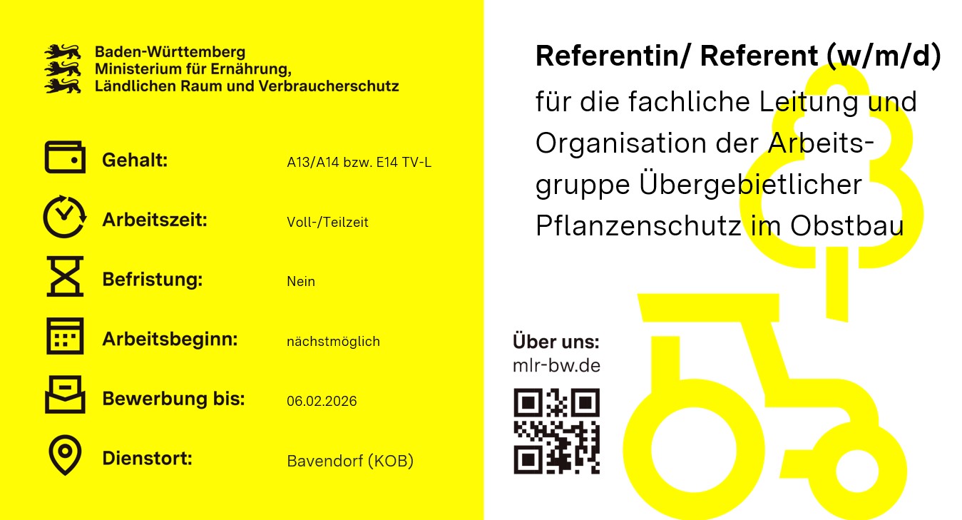 Referentin / Referent (w/m/d)