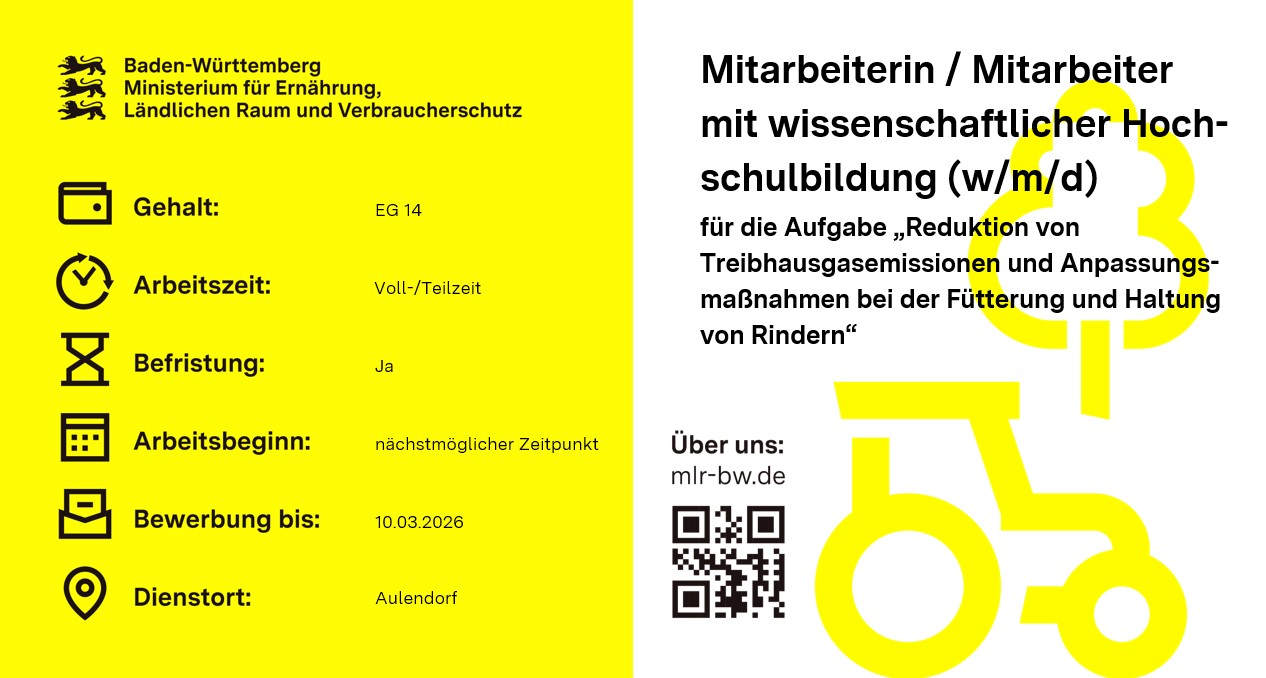 Graphische Darstellung Stellenausschreibung