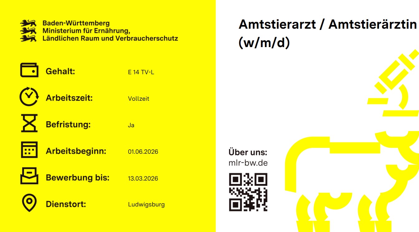 Graphische Darstellung Stellenausschreibung