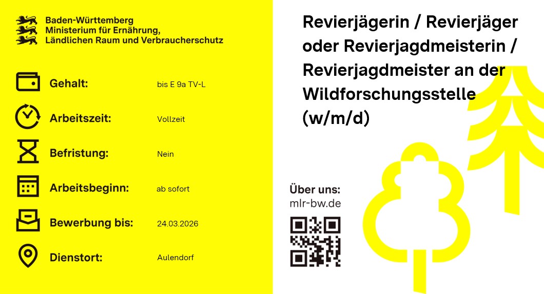  Revierjäger / Revierjägerin (w/m/d) oder Revierjagdmeister / Revierjagdmeisterin (w/m/d)