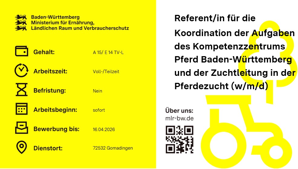  Referentin / Referent (w/m/d)