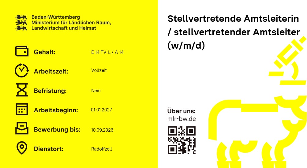 Teaserbild Stellenausschreibung Stellvertretende Amtsleiterin / stellvertretender Amtsleiter (w/m/d)