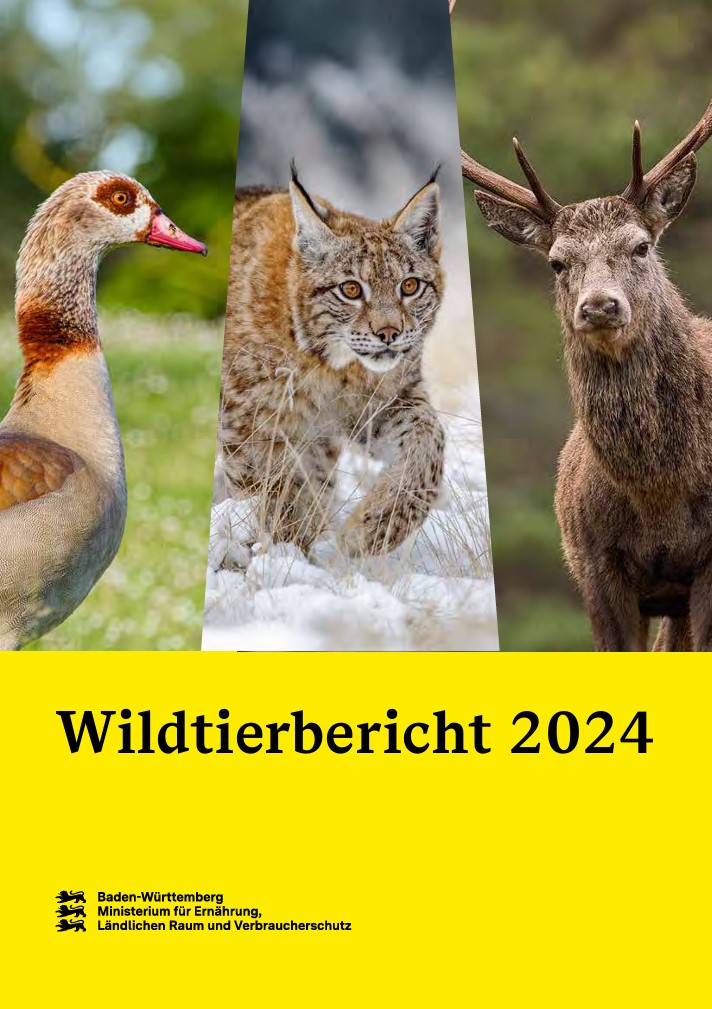 Wildtierbericht 2024 Vorschaubild