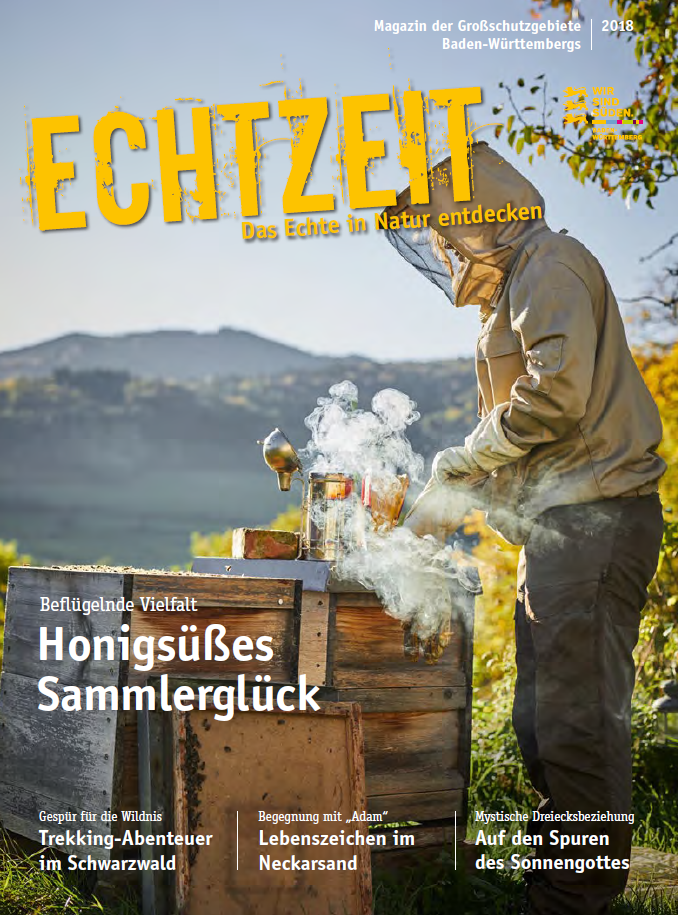 Echtzeit 2018